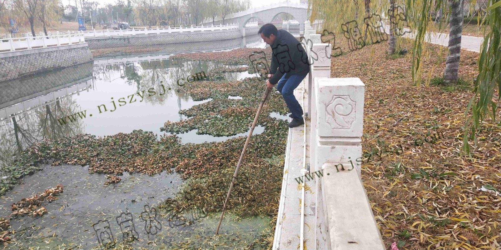 河道起點處2.jpg